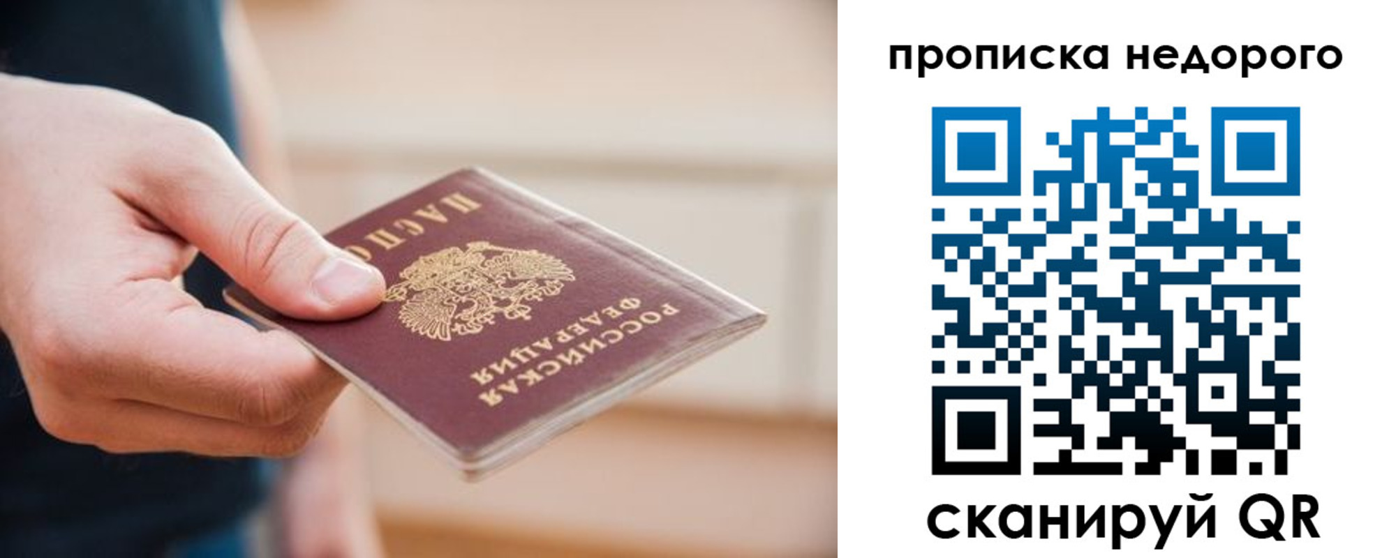 прописка штамп в Апатитах